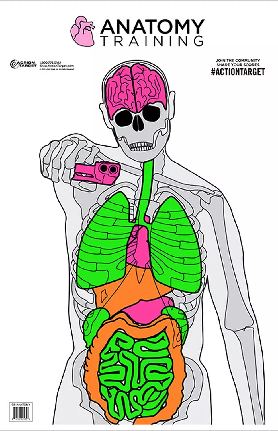Action Target Anatomy Training Silhouette/Vitals Paper Target 23″ x 35″ 100 Per Box