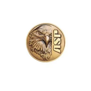 ASP Lapel Pin
