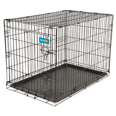 Aspen Pet Wire Training Dog Kennel