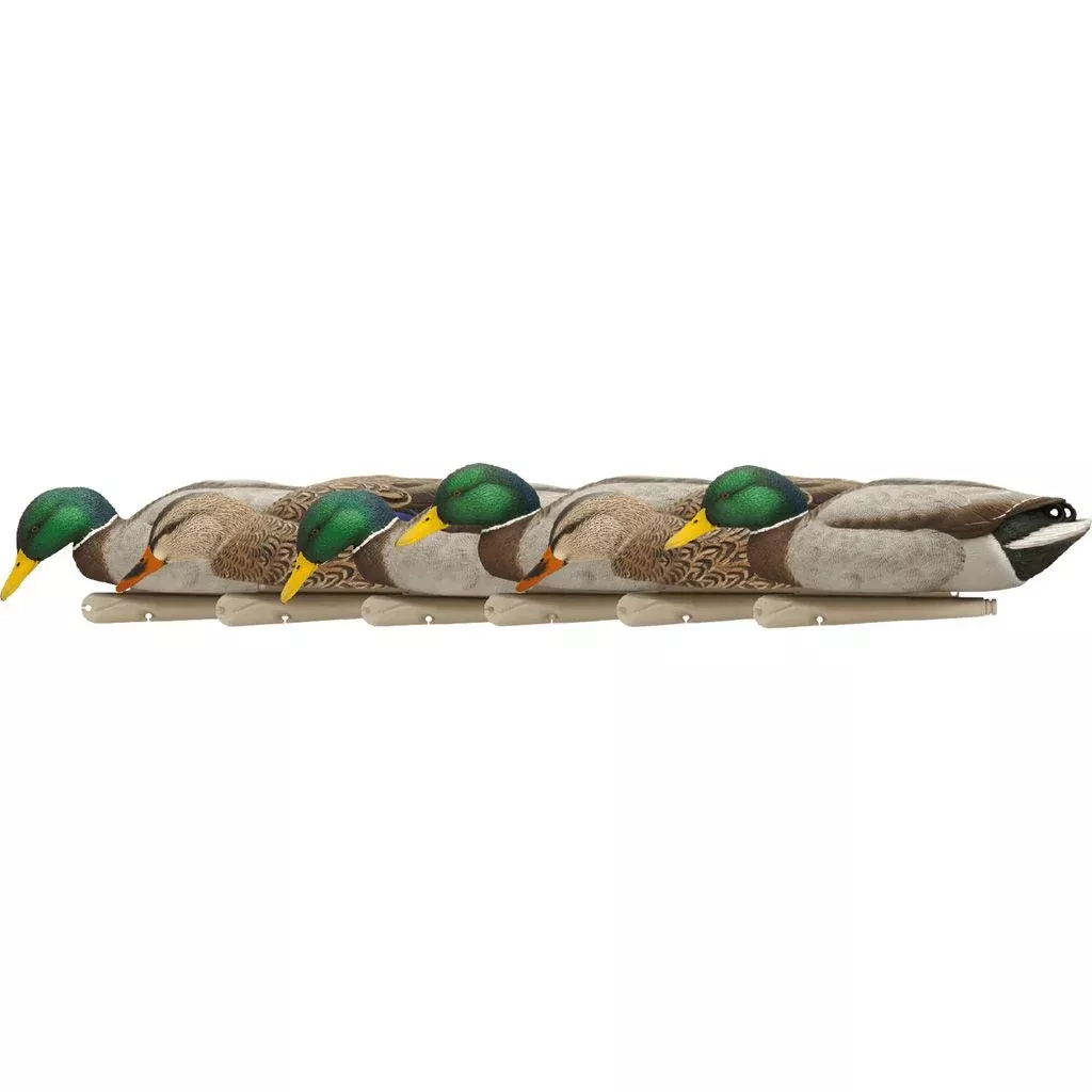 AvianX Top Flight Duck Decoys (Backwater Mallards 6 pk.)
