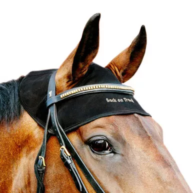 BACK ON TRACK Therapeutic Black Horse Head Cap (2043000)