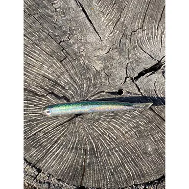 Basstrix Flash Trix Electric Silverside 4"