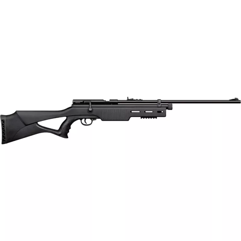 Beeman Sportsman Series CO2 Rifle .22