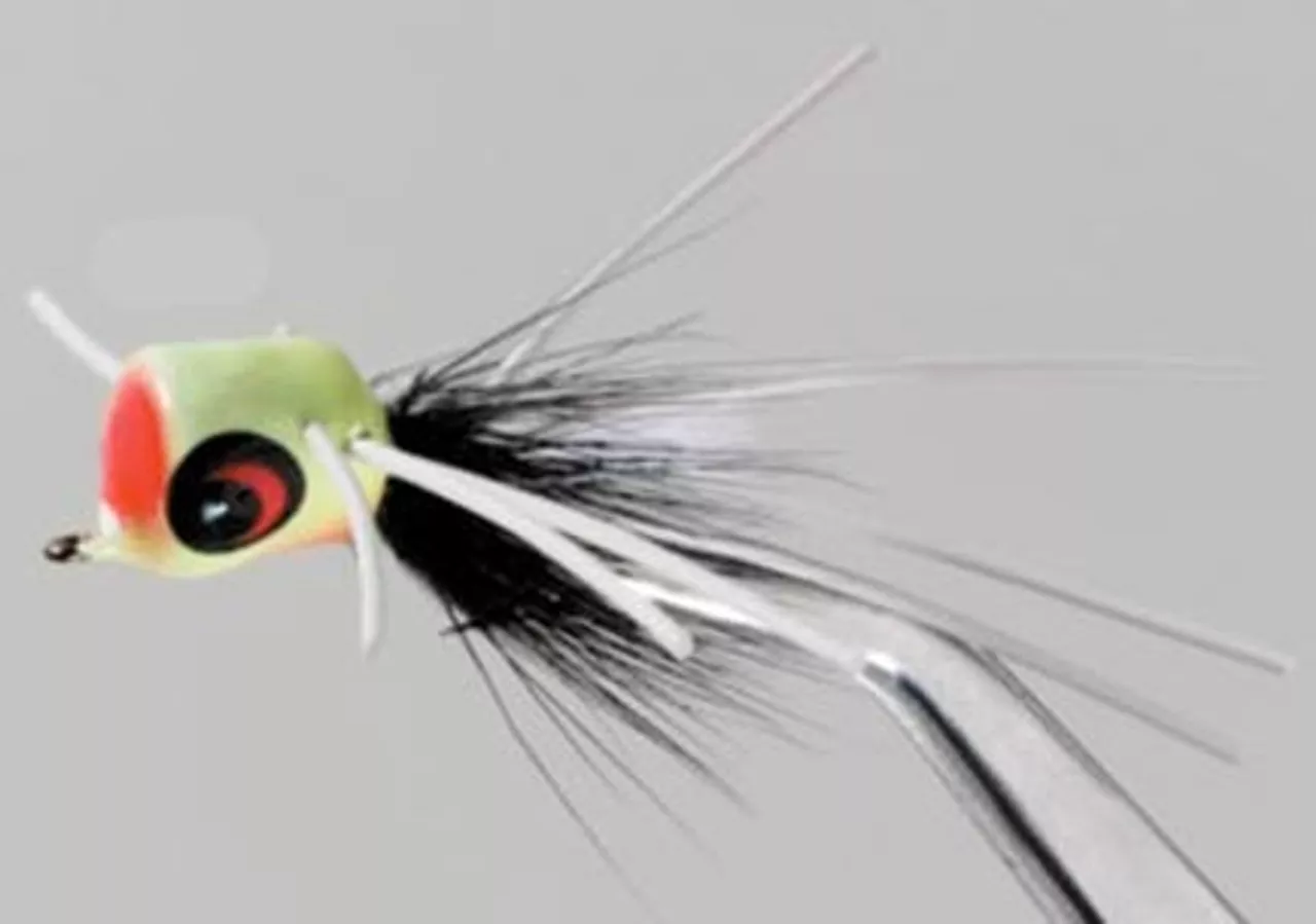 Betts Pop N Hot Glow N Dark – Size 10 #1201-10-6