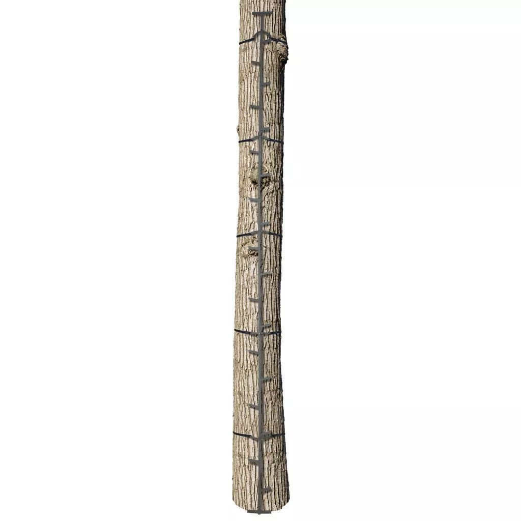 Big Game The Quick-Stick Climbing Stick – 20 ft.