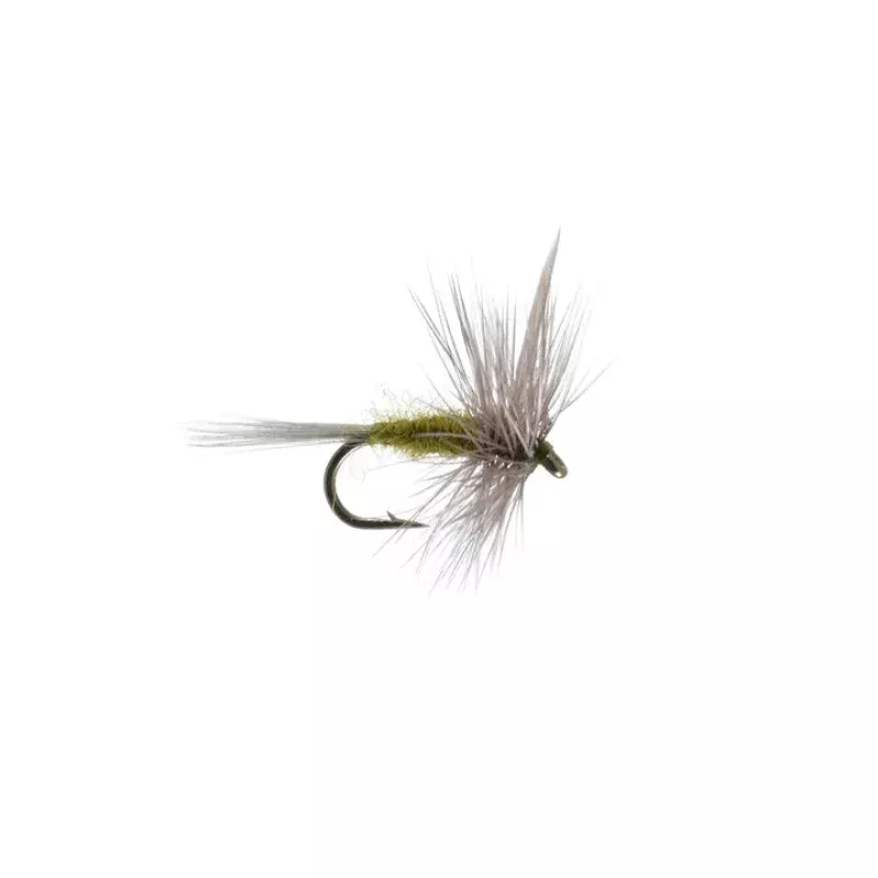 Blue winged Olive|14&16&18&20