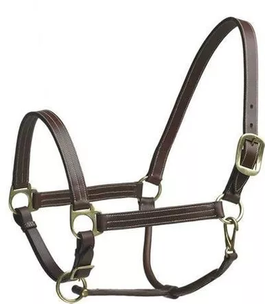 CAMELOT Stable Halter Horse (464284BRN-HRSE)
