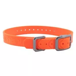 Carhartt Waterproof Dog Collar - Hunter Orange