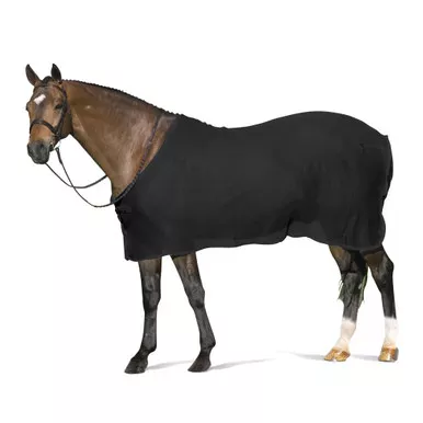 CENTAUR Scrim Horse Dress Sheet