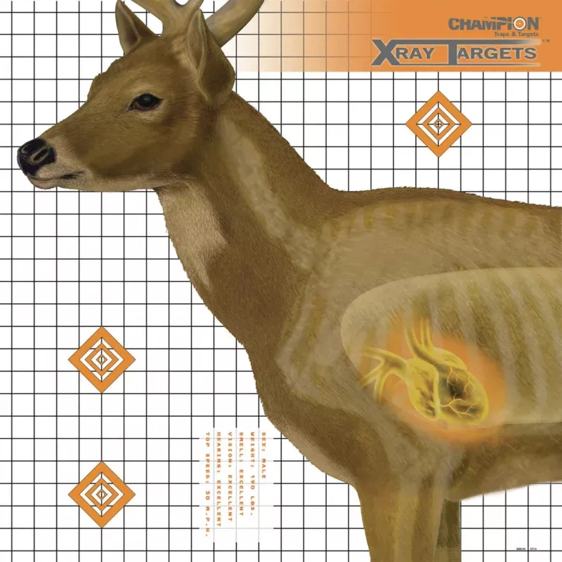 Champion X-Ray Deer Target 25×25 in. 6 pk