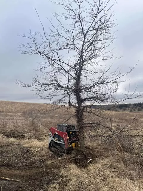 CL Fabrication Challenger Tree Puller | Width 38" inches | Oil Flow Range 15 To 25 GPM | For Skid Steers