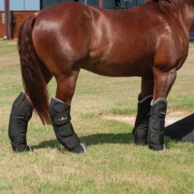 CLASSIC EQUINE Black Shipping Boots (CESB204)