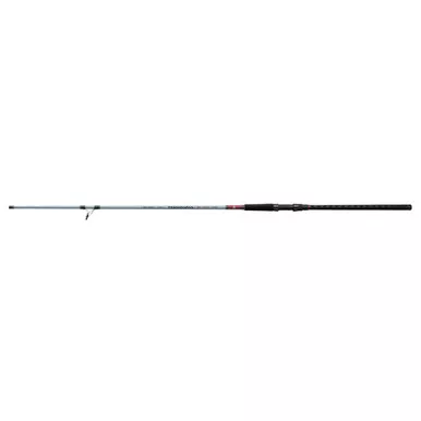 DAIWA TD Surf 11ft 2pc Spinning Rod (TDSUF1102MHFS)