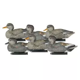 Dakota Decoy X-Treme Gadwall - 6 pack
