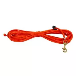 Dokken PuppyCheck30 -- 2-in-1 Check Cord