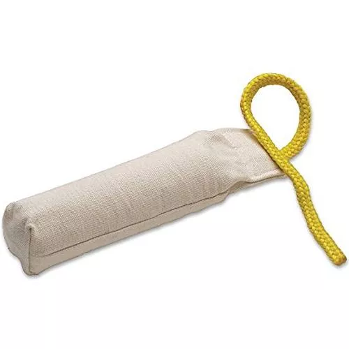 Dokken’s Classic Dummy Canvas