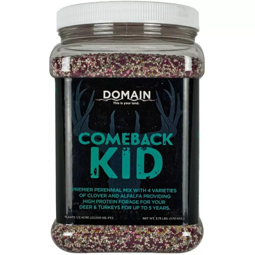 Domain Comeback Kid Seed