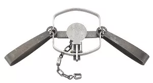 Duke #5LS Beaver Special Long Spring Trap