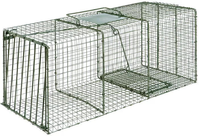 Duke Heavy Duty Large Raccoon And Fox Trap#1114