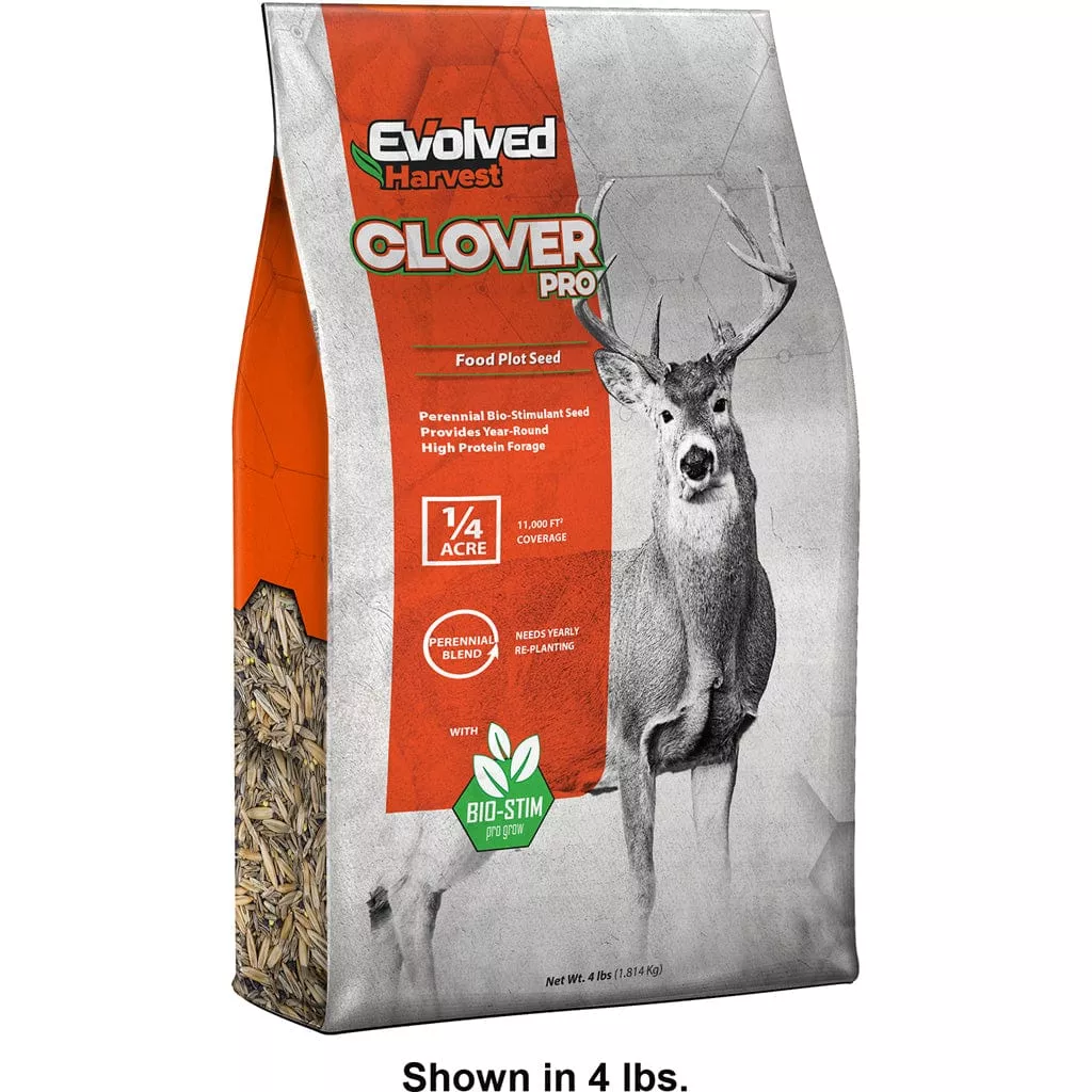 Evolved Clover Seed (2 lb.)