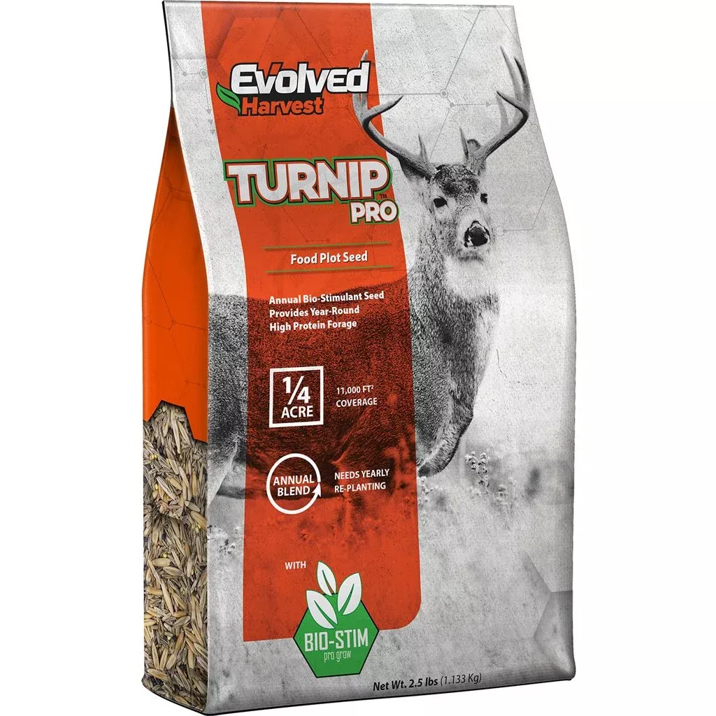 Evolved Turnip Seed