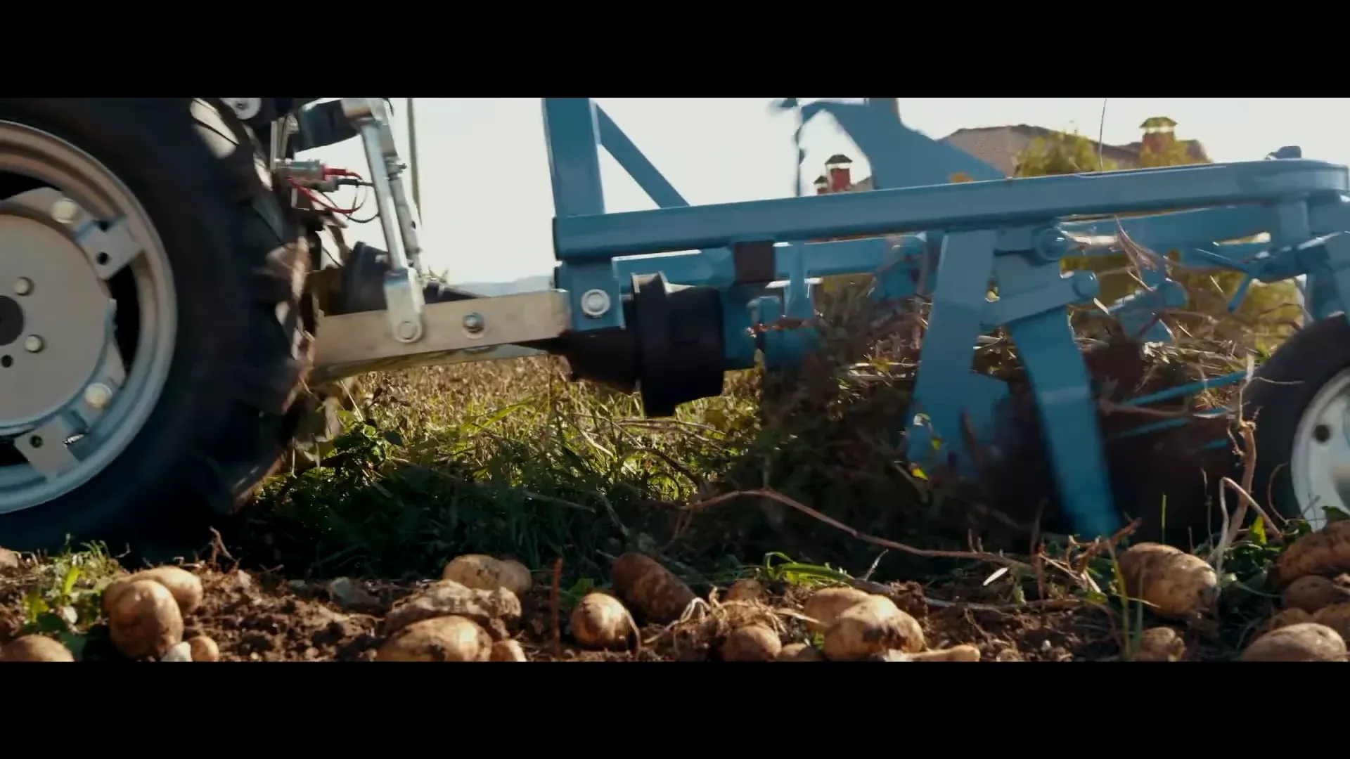 Farm-Maxx Single Row Potato Harvester | Width 36″ | 18 HP | For Tractors