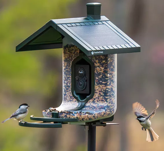 FeatherSnap Scout Bird Feeder Camera #FSBF001