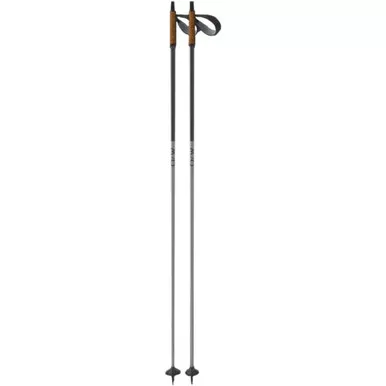 FISCHER Diamond ALC Fitness Nordic Poles