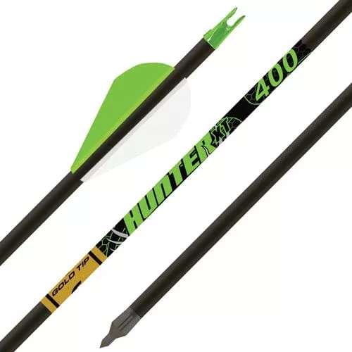 Gold Tip Hunter Xt Arrows 340 Raptor Vanes 6 Pk.