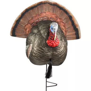 The Grind TG8864 1/4 Strutter Turkey Decoy, Multicolor