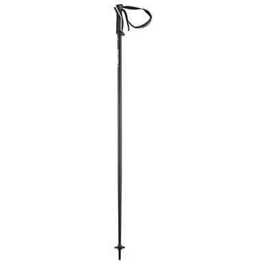 HEAD Unisex Frontside Poles