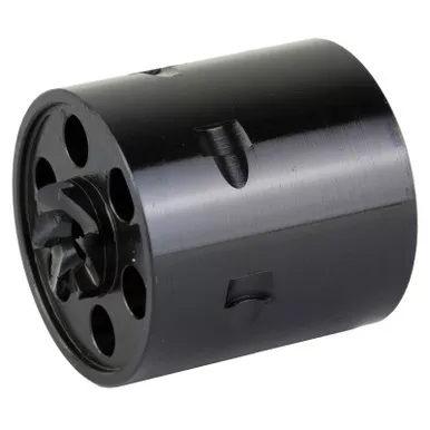 Heritage .22 WMR 6RD Cylinder