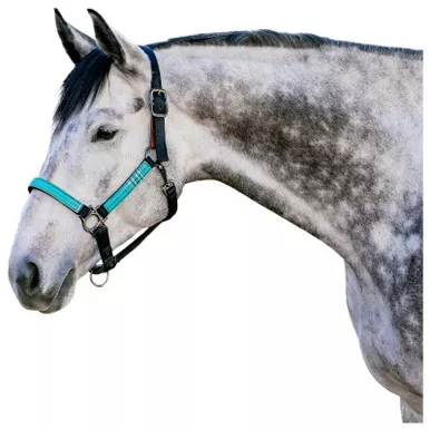 KENSINGTON Premium Nylon Breakaway Halter (KHSB)