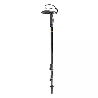 LEKI Legend Black Carbon Hiking poles (65320861)