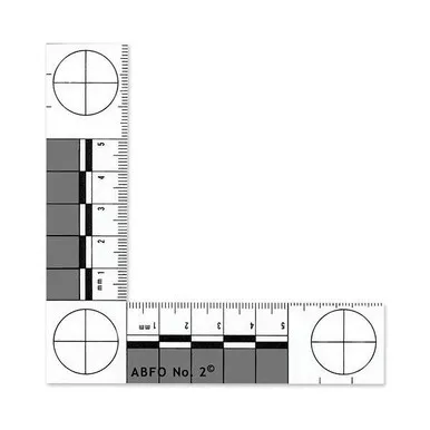 Lightning Powder 6-3875 ABFO No. 2 Photomacrographic Scale