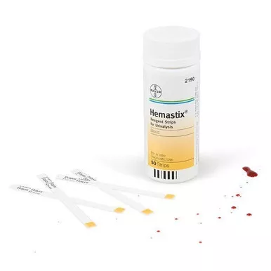 Lightning Powder 7813 Hemastix Reagent Strips, Bottle of 50