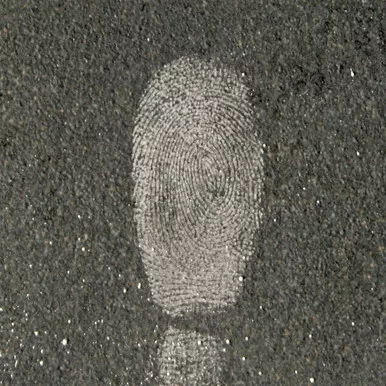 Lightning Powder White Latent Fingerprint Powder