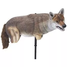 Lucky Duck Yote Coyote