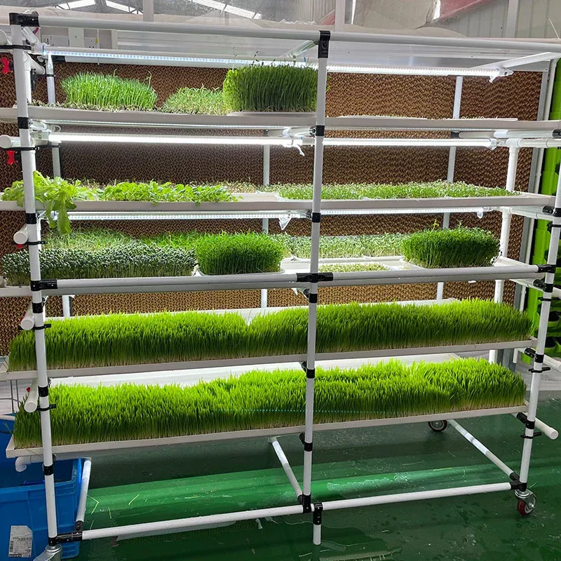 Lyine 6-2 Hydroponic Rack System with LED Light – Hydroponics Growing System |200 * W135* H190 |4 Trays x 6 Layers