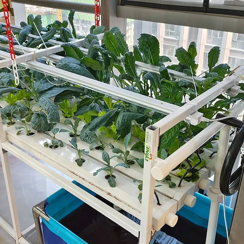 Lyine Full Set Vertical NFT Hydroponics System Farm with PHEC for Greenhouse Planting/Indoor Farming