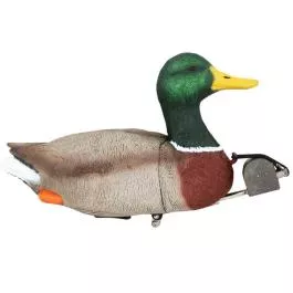 MOJO Dabbler Duck