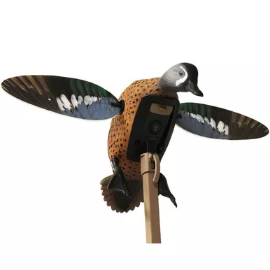 MOJO Elite Series Blue Wing Teal Decoy (MOJO-HW2475-3P)