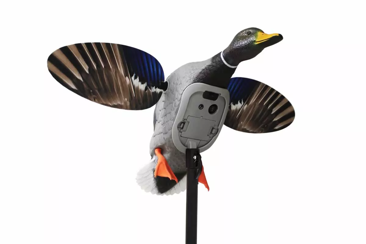 Mojo Mallard Elite Series – King Mallard W/ 6V Li-Ion Battery