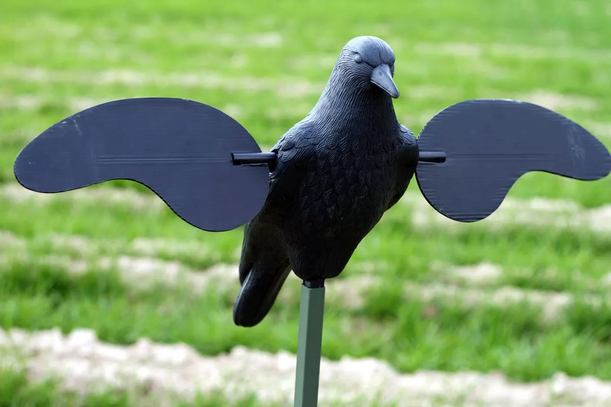 MoJo Outdoors Crow Decoy #HW2402