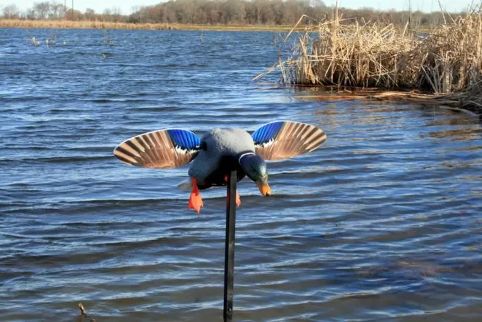 Mojo Outdoors Elite Series Mini Mallard Drake #2470