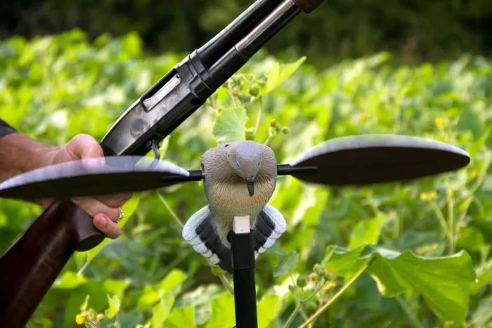 MoJo VooDoo Dove Decoy #HW2300