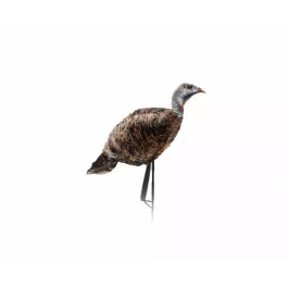 Montana Decoy Miss Purr-Fect XD 3D Hen