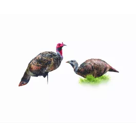 Montana Decoy Purr-Fect Pair XD 3D Combo