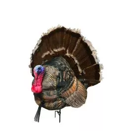 Montana Decoy Wiley Tom 3D