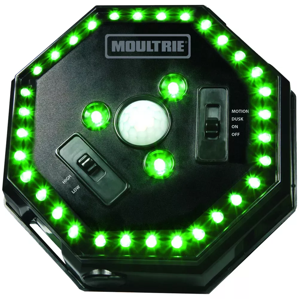 Moultrie Feeder Hog Light Black Green Filter 30 ft Range